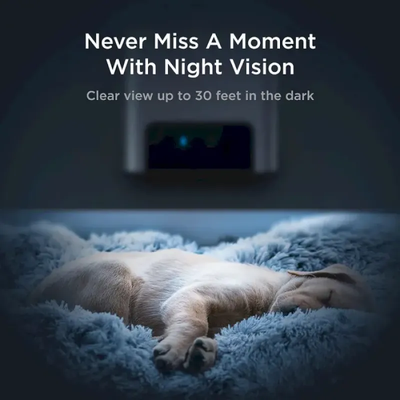Petcube Інтерактивна HD-камера годівниця Bites 2 Lite (BL10US)