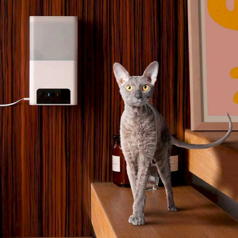 Petcube Інтерактивна HD-камера годівниця Bites 2 Lite (BL10US)