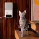 Petcube Інтерактивна HD-камера годівниця Bites 2 Lite (BL10US)