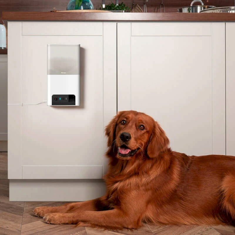 Petcube Інтерактивна HD-камера годівниця Bites 2 Lite (BL10US)