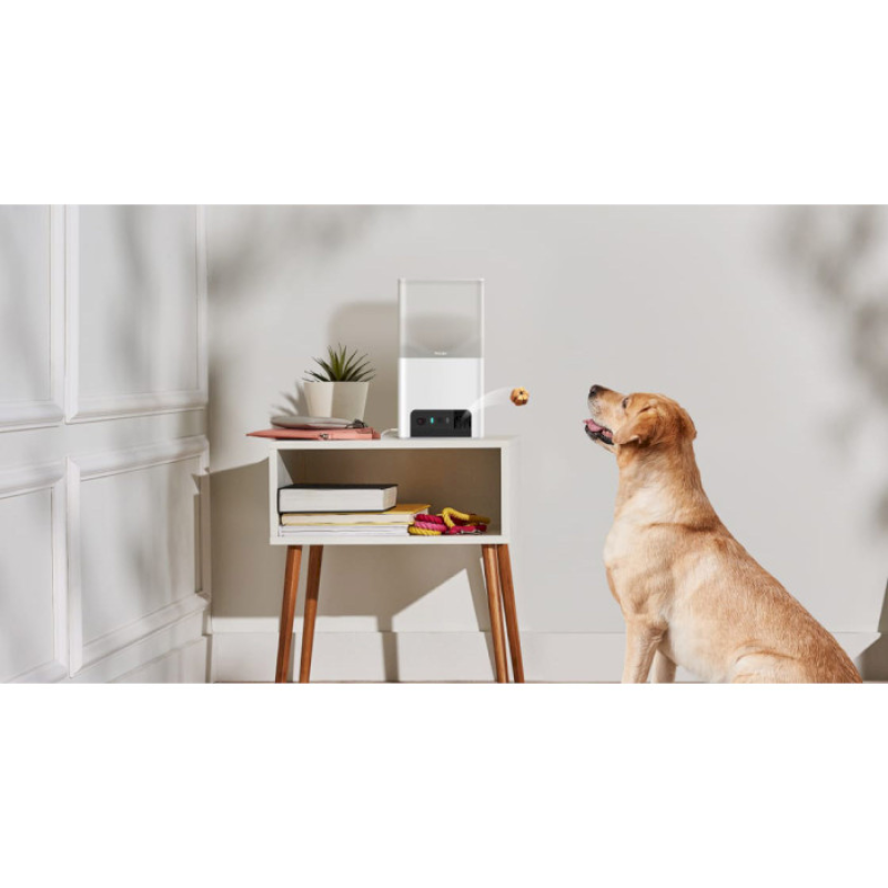 Petcube Інтерактивна HD-камера годівниця Bites 2 Lite (BL10US)