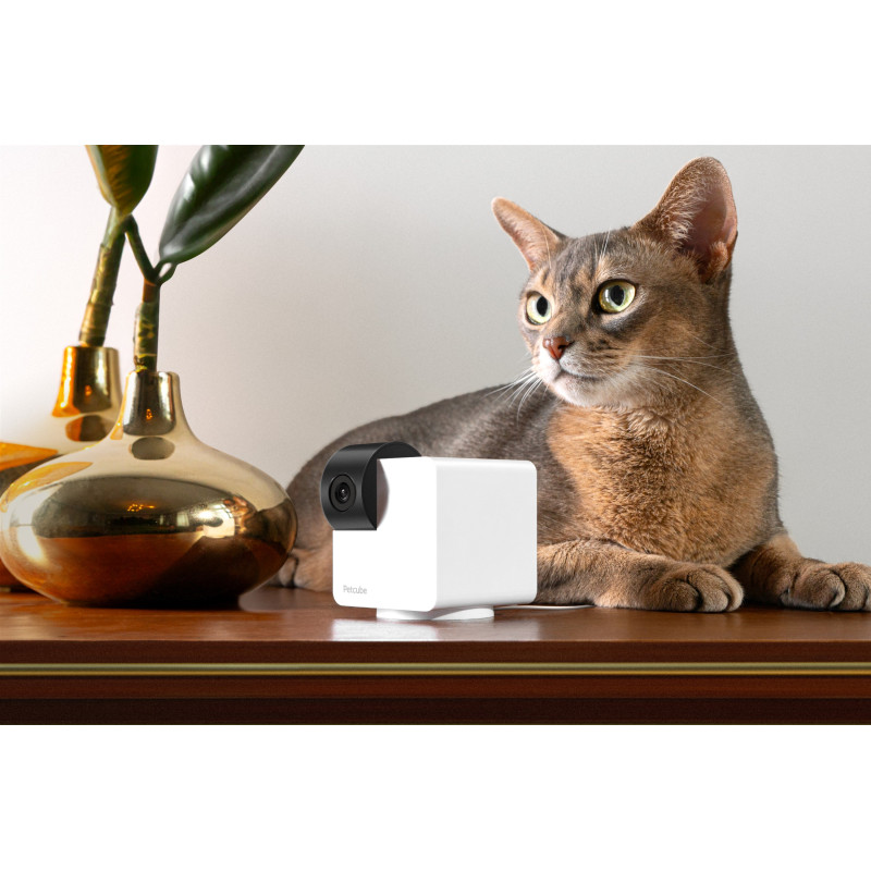 PETCUBE P36010US