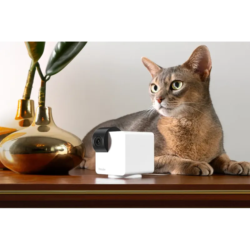 PETCUBE P36010US