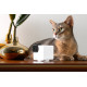 PETCUBE P36010US