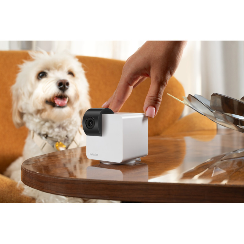 PETCUBE P36010US