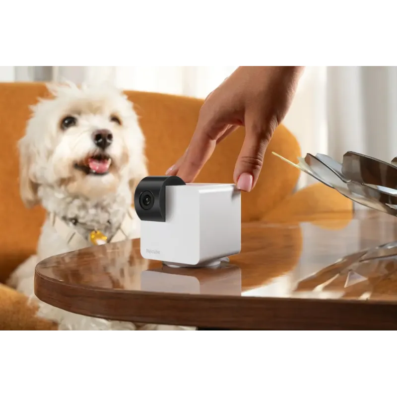 PETCUBE P36010US