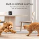 Petcube Компактна HD-камера Play 2 (PP20US)