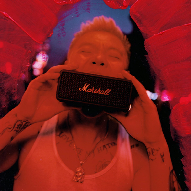 Акустика Marshall Emberton III Sage (1007861)