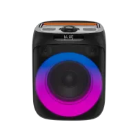 Акустика Canyon OnFun 6, Black (CNE-PBSP6)