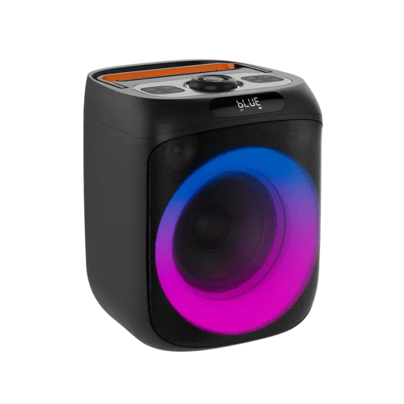 Акустика Canyon OnFun 6, Black (CNE-PBSP6)