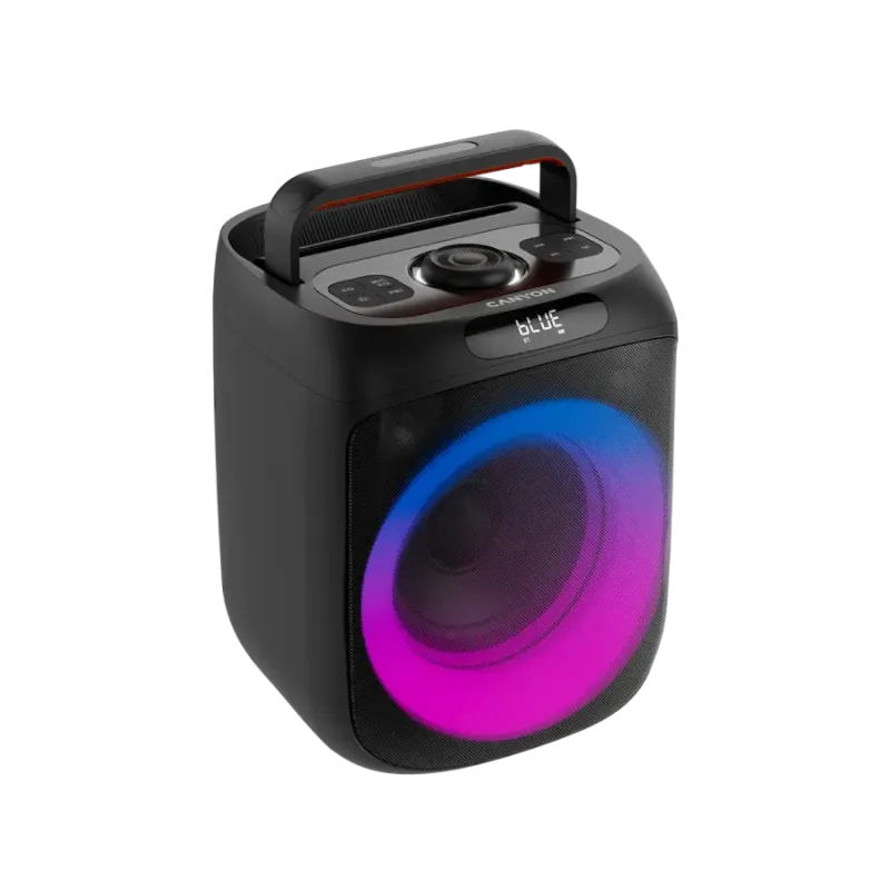 Акустика Canyon OnFun 6, Black (CNE-PBSP6)