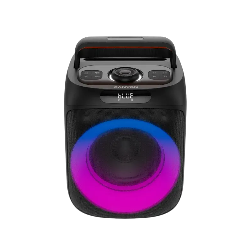Акустика Canyon OnFun 6, Black (CNE-PBSP6)