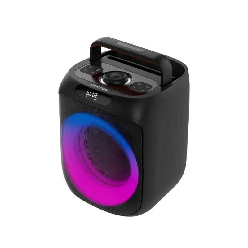 Акустика Canyon OnFun 6, Black (CNE-PBSP6)