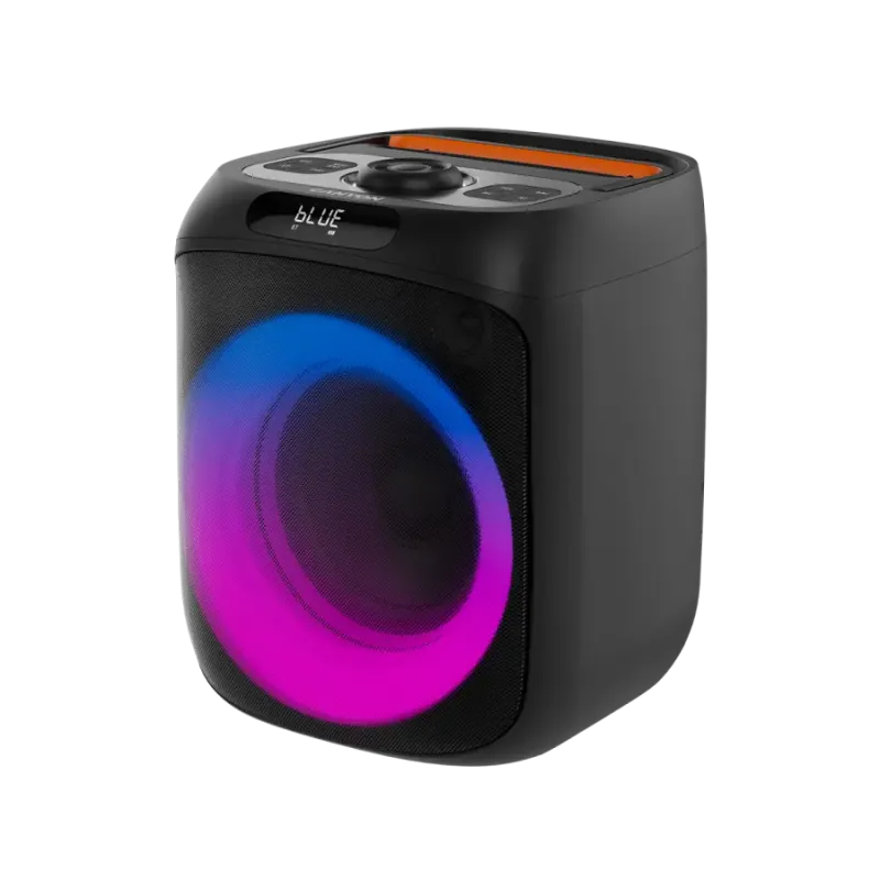 Акустика Canyon OnFun 6, Black (CNE-PBSP6)