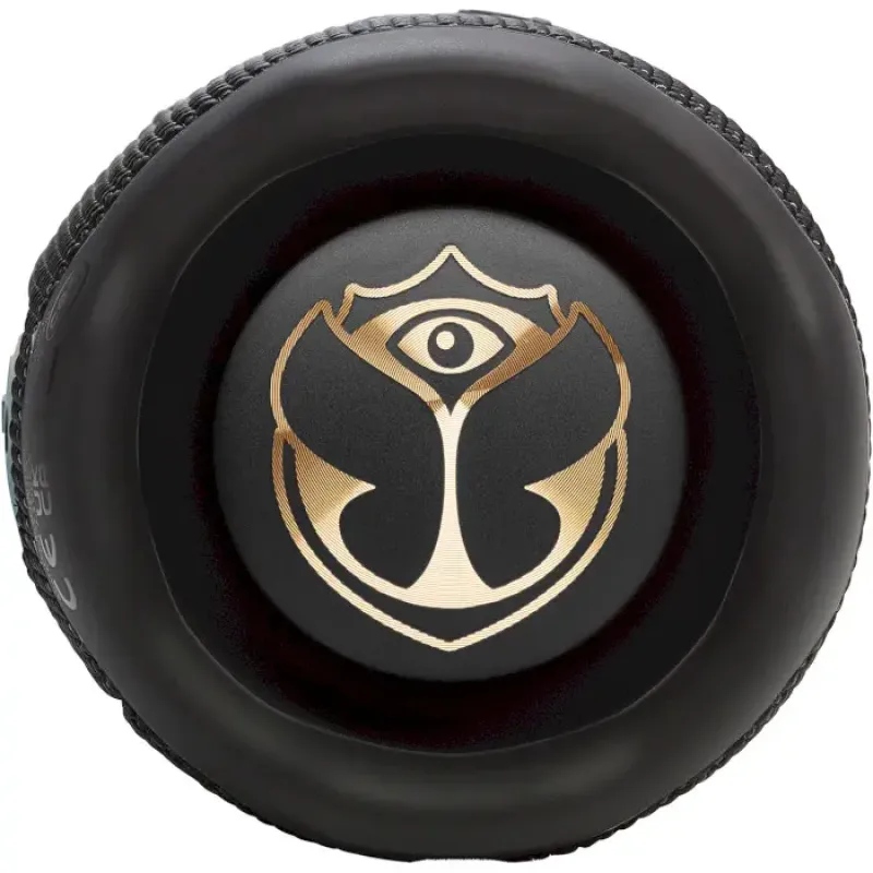 Акустика JBL Flip 7 Tomorrowland (JBLFLIP7TML)