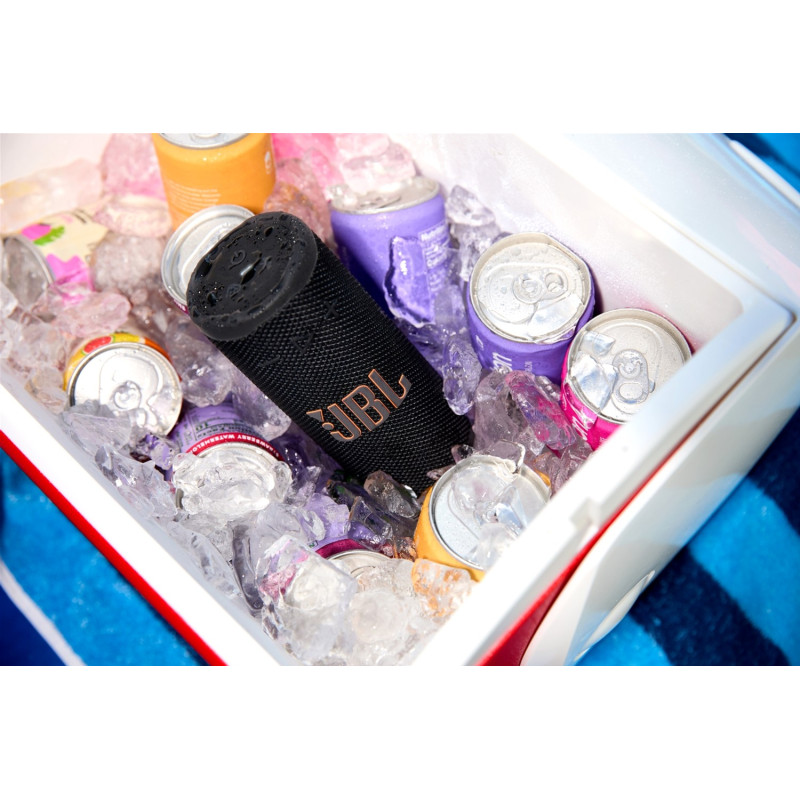 Акустика JBL GRIP Black (JBLGRIPBLK)