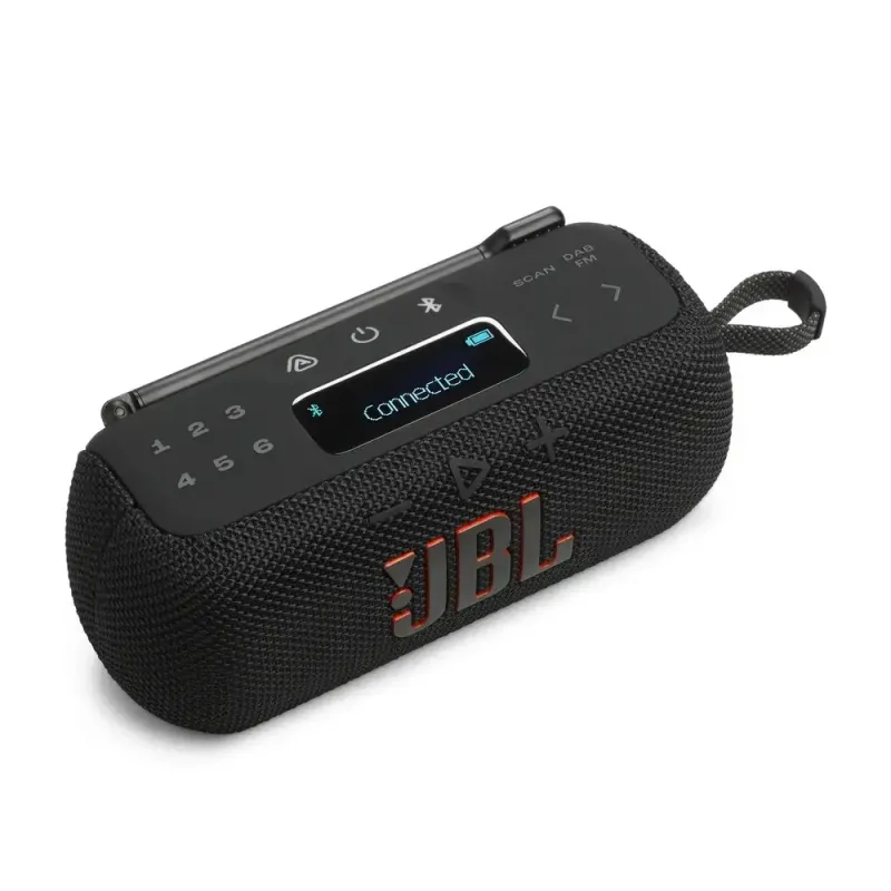 Акустика JBL Tuner 3 Black (JBLTUNER3BLK)