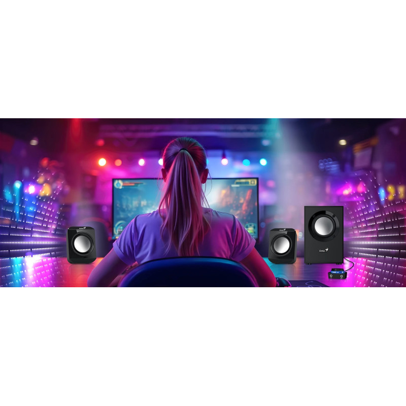 Акустика Genius SW-2.1 300 II Black (31730053401)