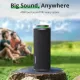 Акустика Tronsmart T8 Black (1290635)