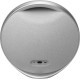 Акустика Harman/Kardon Onyx Studio 9 Grey (HKOS9GRYEP)