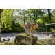 Karcher 2.644-421.0
