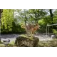 Karcher 2.644-421.0