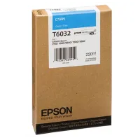Картридж EPSON C13T603200