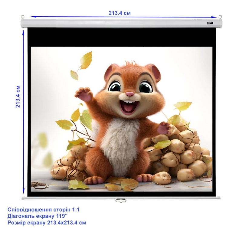 Экран для проектора Elite Screens M119XWS1