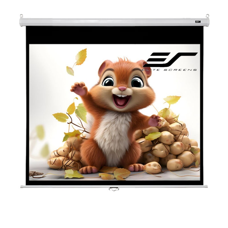 Экран для проектора Elite Screens M119XWS1