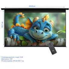 Екран для проектора ELITE SCREENS Electric125H