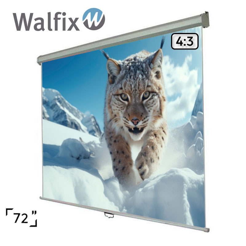 Экран для проектора Walfix  SNM-1
