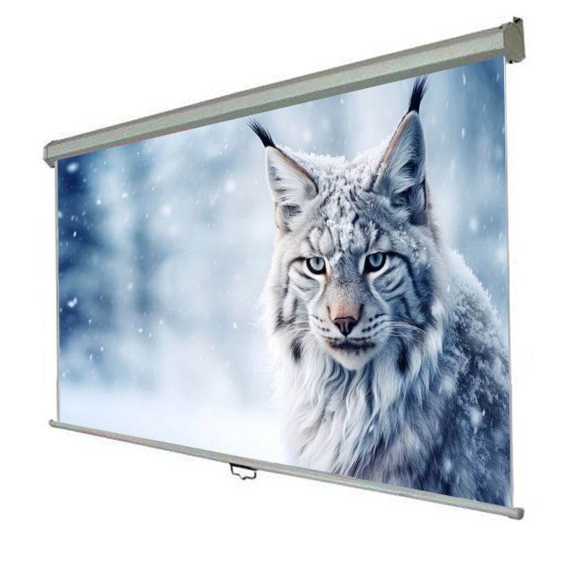 Экран для проектора Walfix  SNM-10
