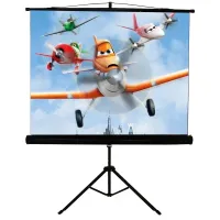 Екран для проектора Walfix  SNT-3