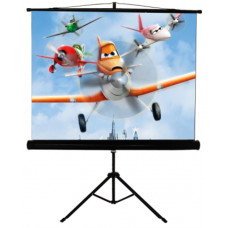 Екран для проектора Walfix  SNT-3