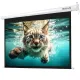 Экран для проектора Walfix  TLS-5
