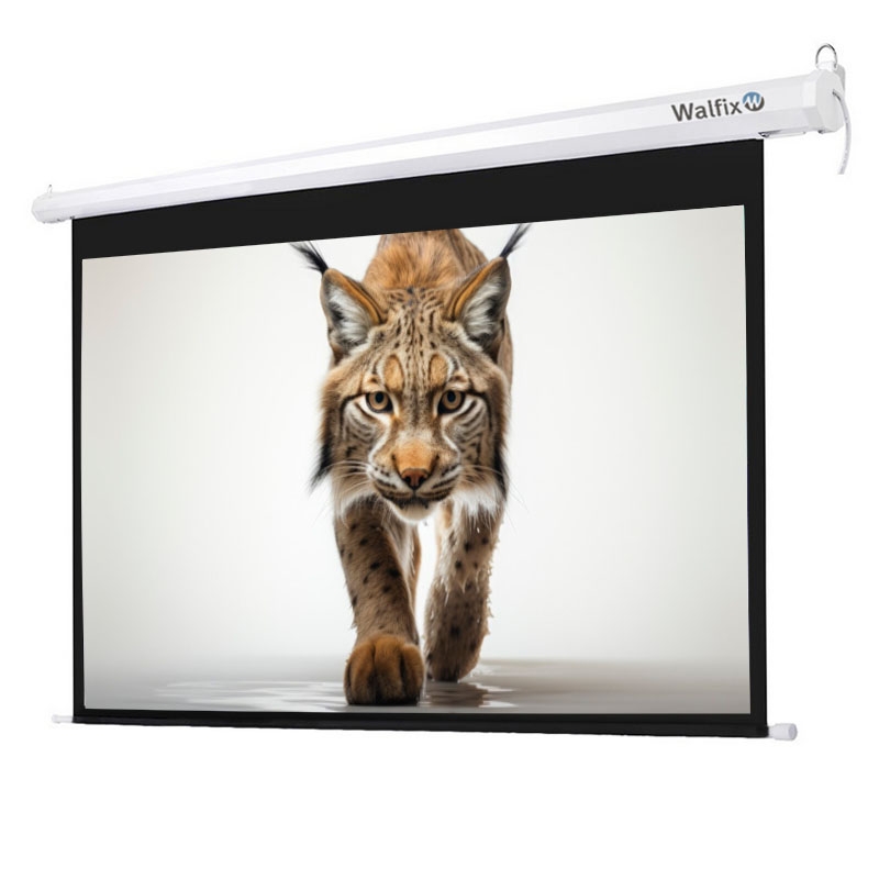 Экран для проектора Walfix  TLS-5
