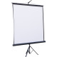 Экран для проектора ATRIA ECO TRM-AV-70