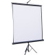 Экран для проектора ATRIA TRM-NTSC-120D