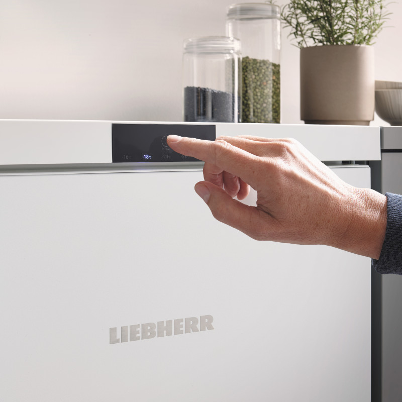 Морозильна камера Liebherr Fe 1414 Pure