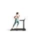 KingSmith WalkingPad Treadmill MX10