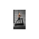 King Smith Treadmill K15 (TRK15F)