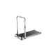 Kingsmith Walkingpad Treadmill R2 Black (TRR2FB)