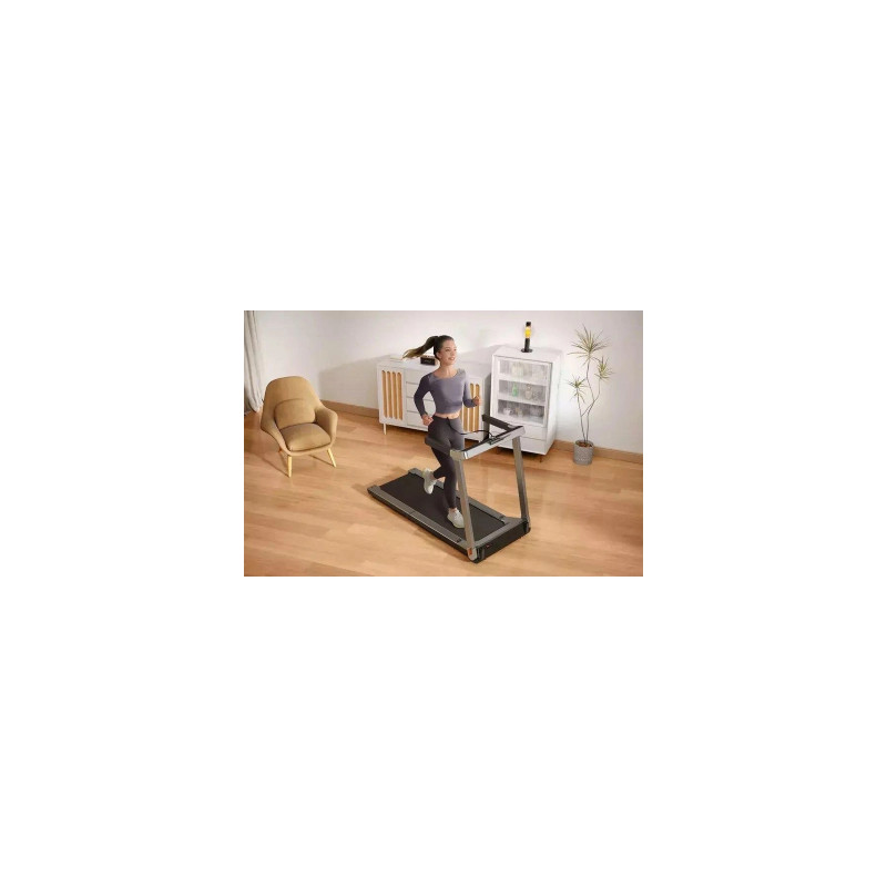 Kingsmith Treadmill TRG1F