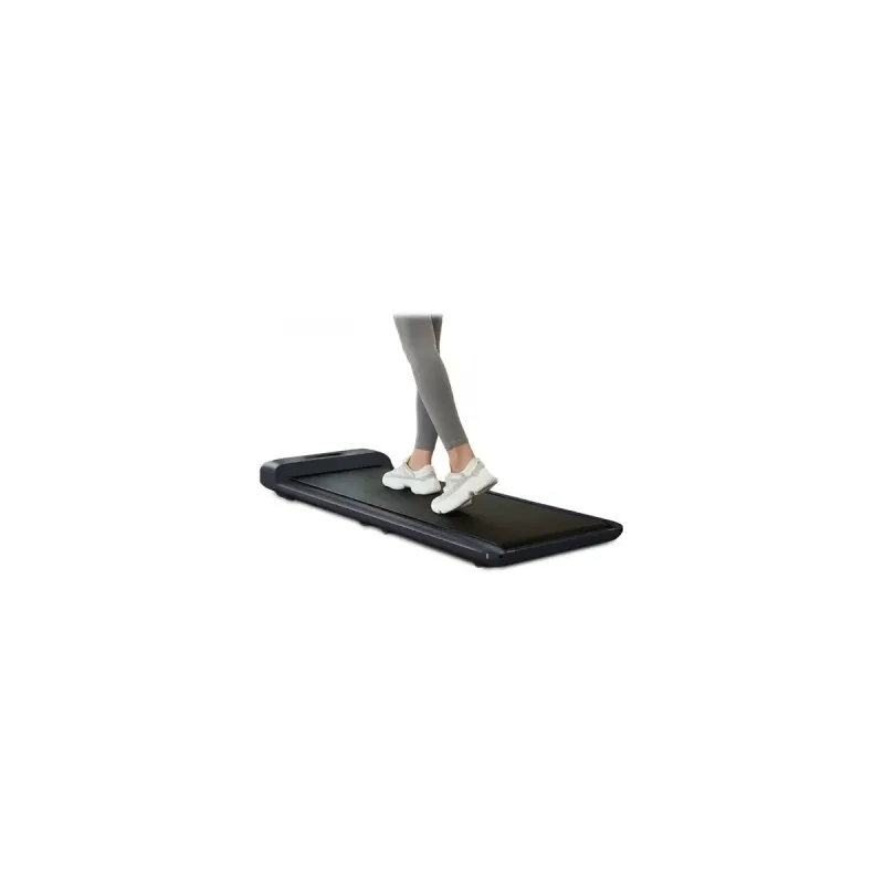 Kingsmith WalkingPad C2 Black (WPS1F)
