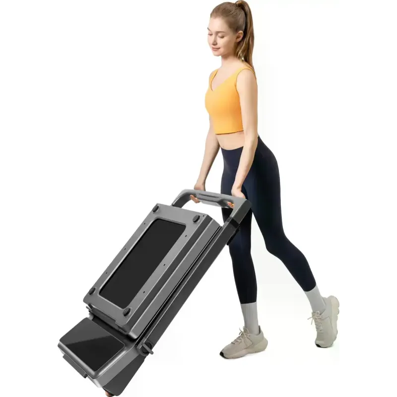 KINGSMITH WalkingPad Z3 hybrid+ (WP400Q42)