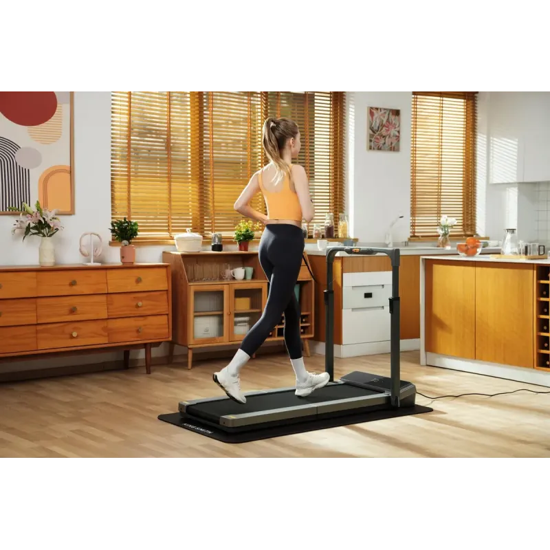 KINGSMITH WalkingPad Z3 hybrid+ (WP400Q42)