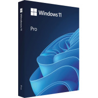 Программное обеспечение Microsoft Windows 11 Pro FPP 64-bit Eng Intl non-EU/EFTA USB (HAV-00164)