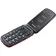 Мобильный телефон Panasonic KX-TU550EXR