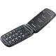 Мобильный телефон Panasonic KX-TU550EXC