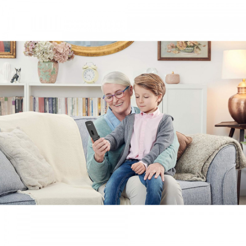 Мобільний телефон Panasonic KX-TU446EXG